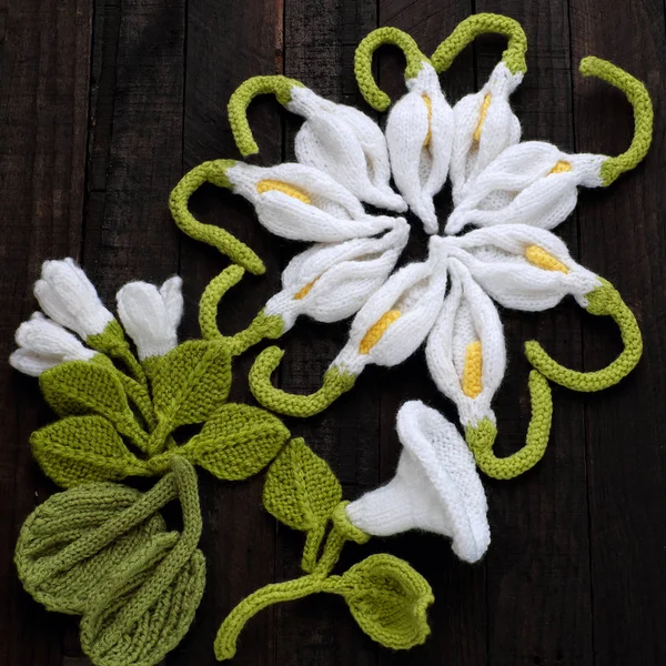 Folha verde de malha e fundo de flor branca — Fotografia de Stock