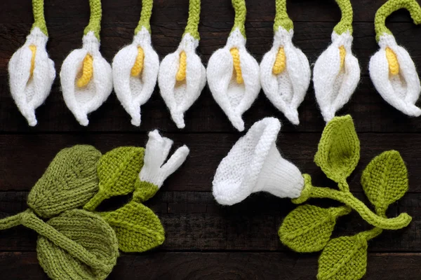 Knitted green leaf and white flower background — Stock Photo, Image