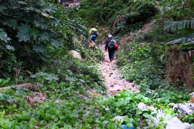 plastik torba yolu, çevre kirliliği