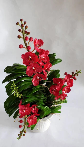 Arte de barro, pote de orquídea de Vanda — Fotografia de Stock