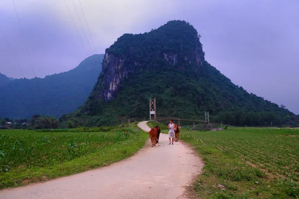 Куанг Binh сільській місцевості краєвид з дивовижною гора — стокове фото