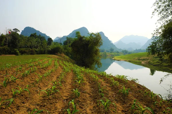 クアン ビン、ベトナムの美しい田園地帯 — ストック写真