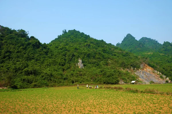 美丽的乡村的越南广治平， — 图库照片