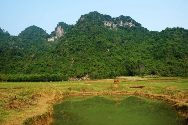 Красивая сельская местность Куанг Бин, Вьетнам Стоковое Изображение