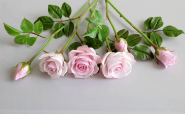 kil sanat, pembe Gül çiçek