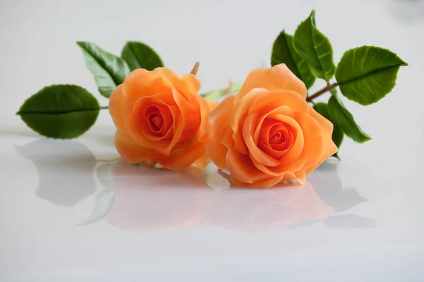 Argila laranja rosas flor no fundo branco — Fotografia de Stock