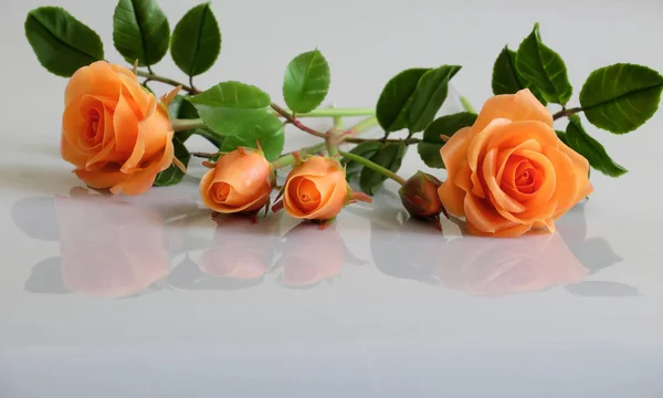 Глина оранжевые розы цветок на белом фоне — стоковое фото