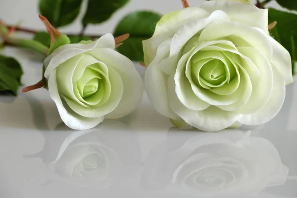 Глина белые розы цветок — стоковое фото
