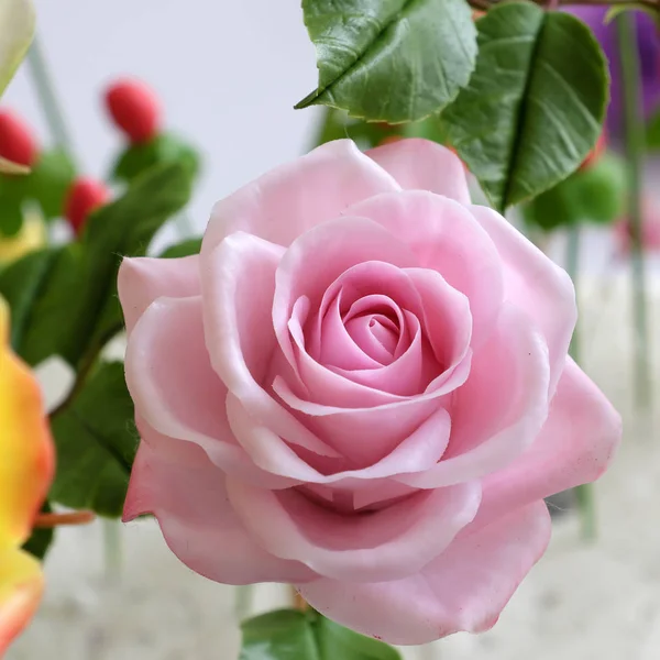 Close up de rosa rosa flor — Fotografia de Stock