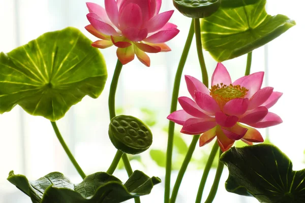 Lerkruka konst, rosa lotus blomma — Stockfoto