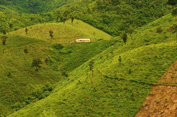 Desflorestação da agricultura, alterações climáticas — Fotografia de Stock