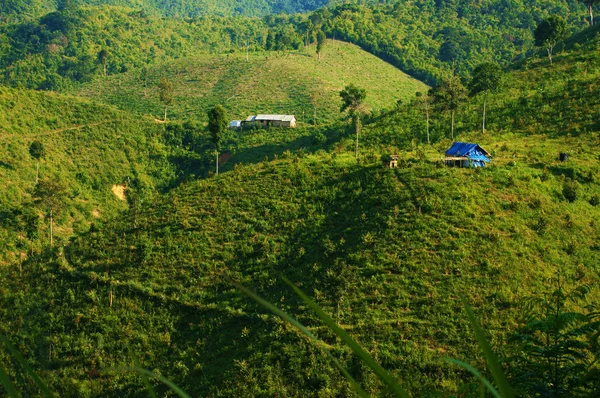 Desflorestação da agricultura, alterações climáticas — Fotografia de Stock