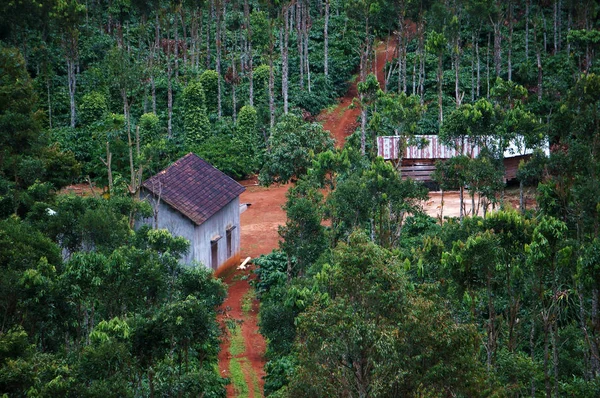 Casa en jardín verde — Foto de Stock