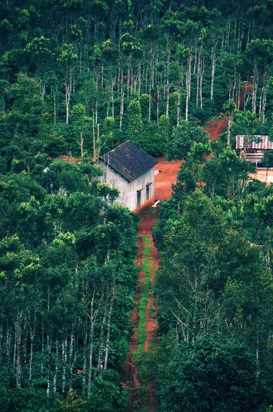 Casa no jardim verde — Fotografia de Stock