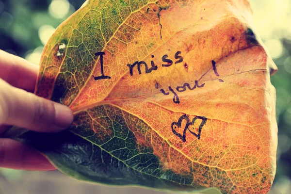 I miss you on old leaf — Stock Photo, Image