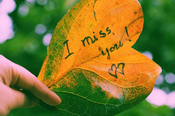 I miss you on old leaf — Stock Photo, Image