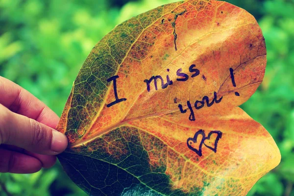 i miss you on old leaf