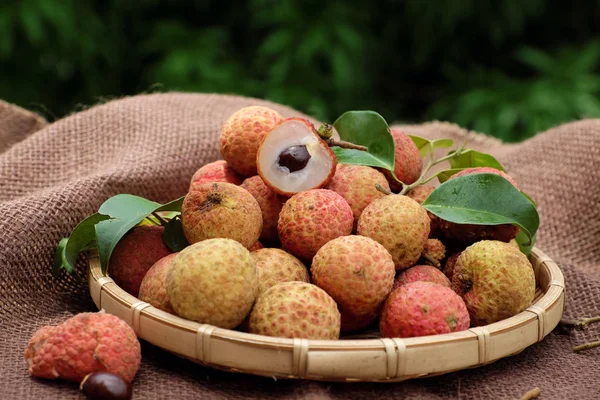 Close up de fruta litchi — Fotografia de Stock