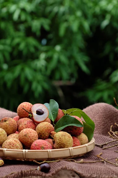 Vai thieu Vietnam, frutos de lichi — Foto de Stock