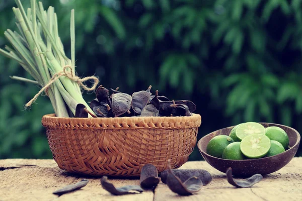 Cuidado del cabello a base de hierbas, baya de jabón, citronela — Foto de Stock