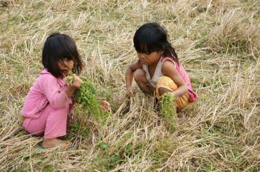 Zavallı çocuk kuru ot çayır üzerinde