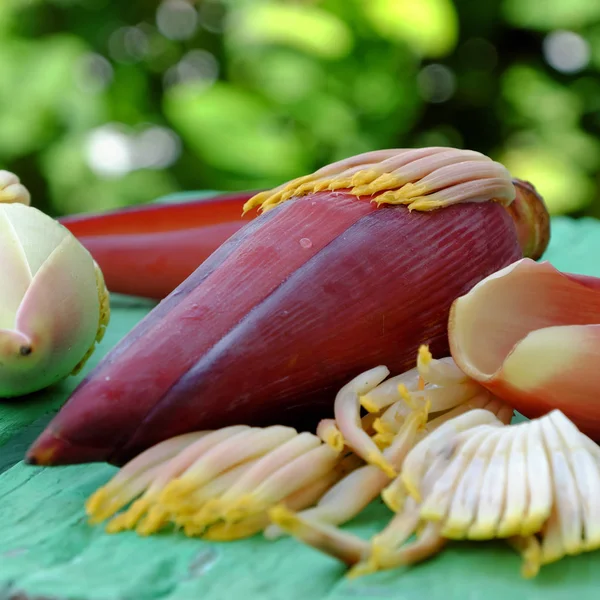 Primo piano di fiore di banana — Foto Stock