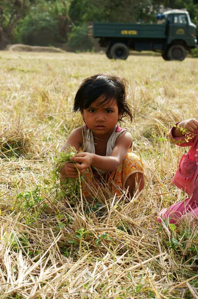 Ubohé dítě na suché trávy louka — Stock fotografie