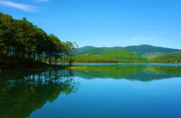 Borovice odrážejí, jezero Tuyen Lam — Stock fotografie