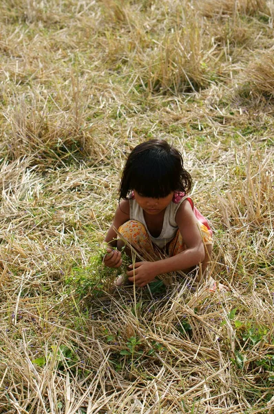 草原の乾いた草にかわいそうな子供 — ストック写真