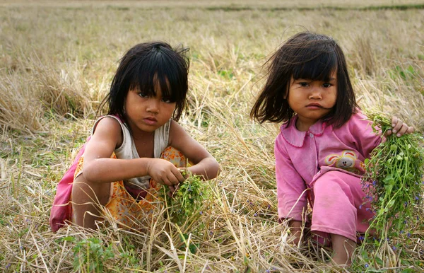 草原の乾いた草にかわいそうな子供 — ストック写真