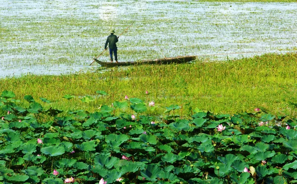 Vietnam paesaggio a Delta del Mekong — Foto Stock