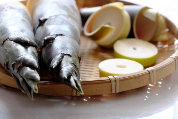 Close up bamboo shoot — Stock Photo, Image