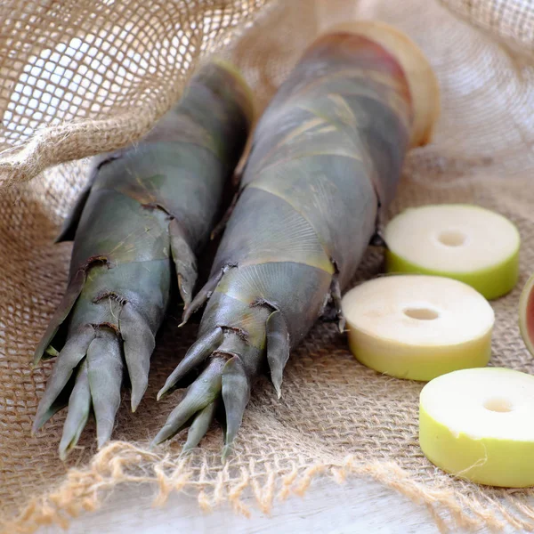 Chiudere germoglio di bambù — Foto Stock