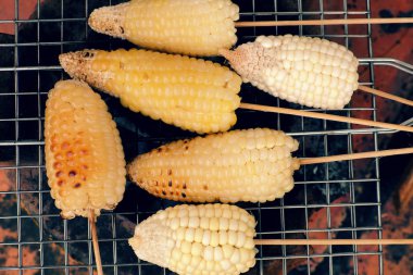 ızgarada Mısır, sıcak mısır koçanı