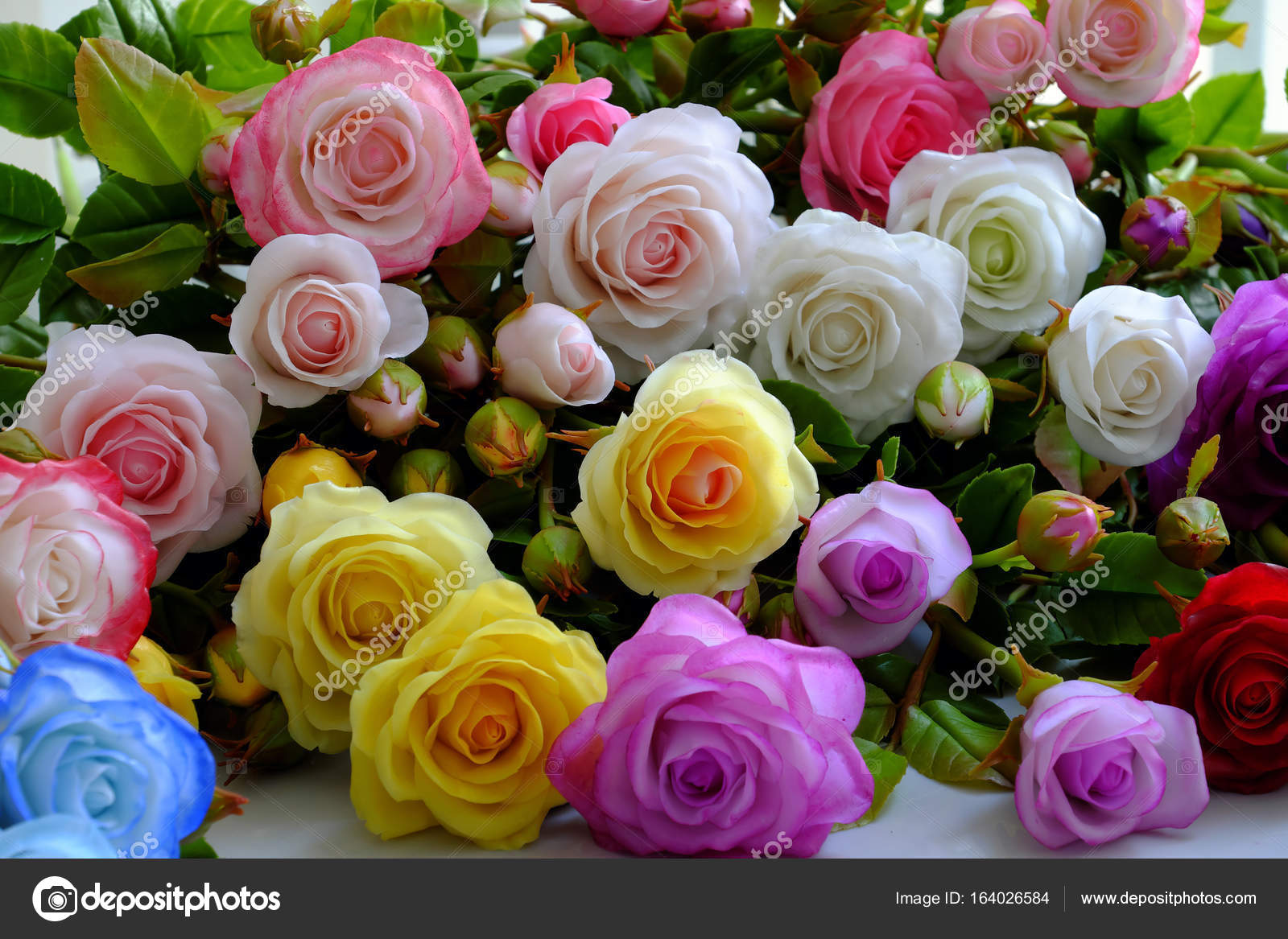 Colorful Roses Flower Stock Photo Image By C Xuanhuongho Colorful Roses Flower Stock Photo Image By C Xuanhuongho