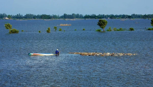 Paisagem do delta do Mekong na época das inundações — Fotografia de Stock