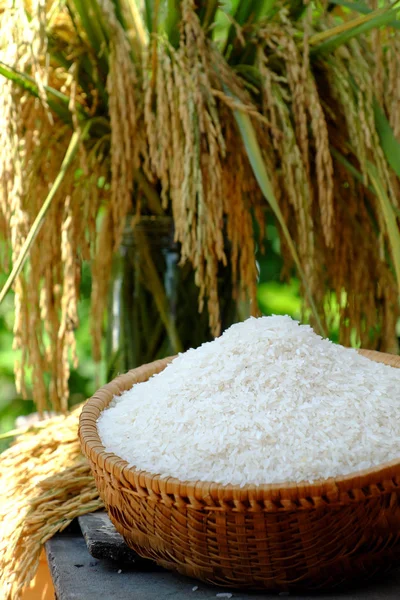 Setumpuk beras dan padi — Stok Foto