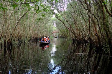 eko yeşil seyahat Mekong Delta adlı
