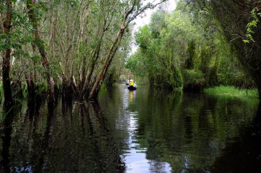 Eko Turizm satır teknede Gezgin