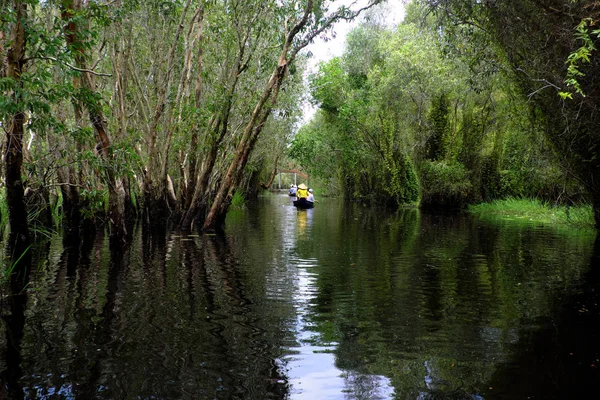Eko Turizm satır teknede Gezgin