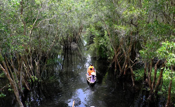 satır tekne ormanın içinden kürek kadın