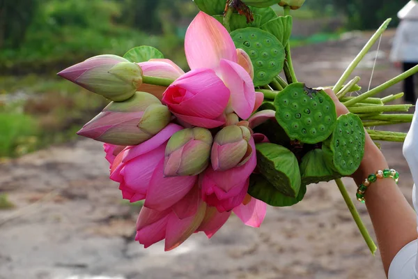 Букет цветов лотоса — стоковое фото