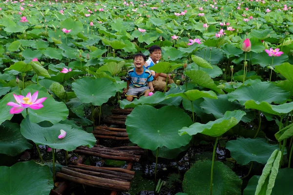 Crianças asiáticas sentam-se na lagoa de lótus — Fotografia de Stock