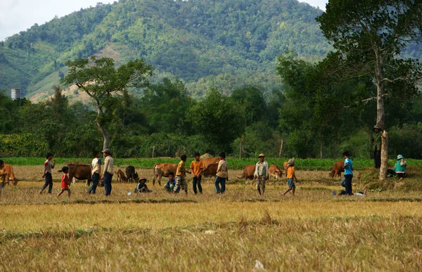 Dirty Asian children play on meadow — Stock Photo, Image