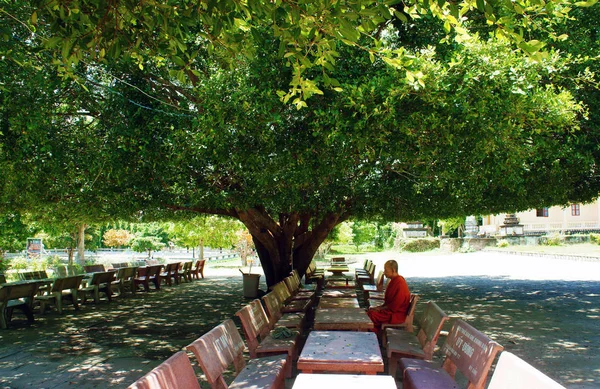 Люди отдыхают под тенью деревьев — стоковое фото