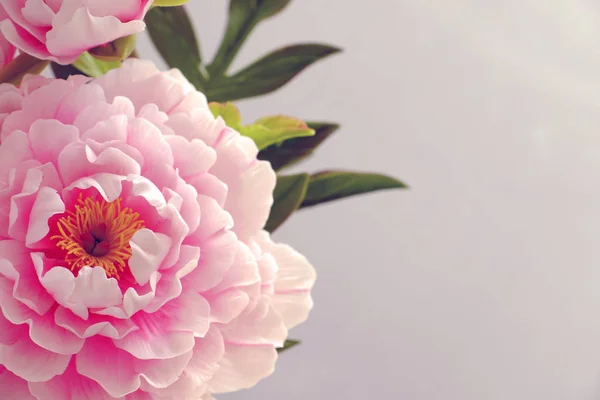 Pünkösdi rózsa virág agyagból — Stock Fotó