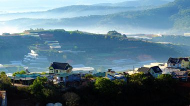Residence, dağ zinciri ile çam ormanı içinde sisli