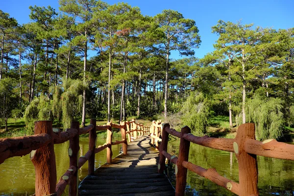 Ponte cruza um lago em floresta de pinheiro — Fotografia de Stock