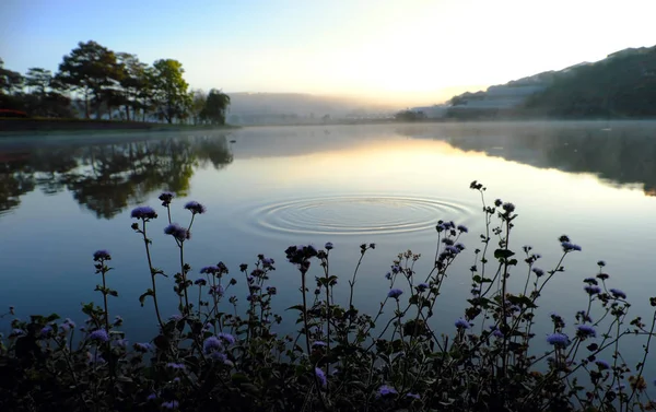 ยบสงบสงบและสงบของทะเลสาบ Tho องดาล ยดนามในตอนเช นสนในป าสะท อนบนน าให มมองท โรแมนต — ภาพถ่ายสต็อก