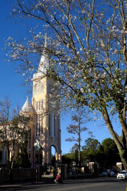 Da Lat Katedrali, tavuk Kilisesi, horoz Kilisesi